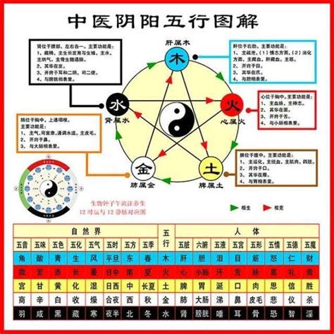 醫療 五行 屬性|中醫五行:基本概念,五行屬性及歸類,五行屬性歸類,五行。